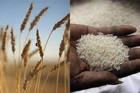 نگرانی از افزایش قیمت برنج و گندم به دلیل جنگ اوکراین
