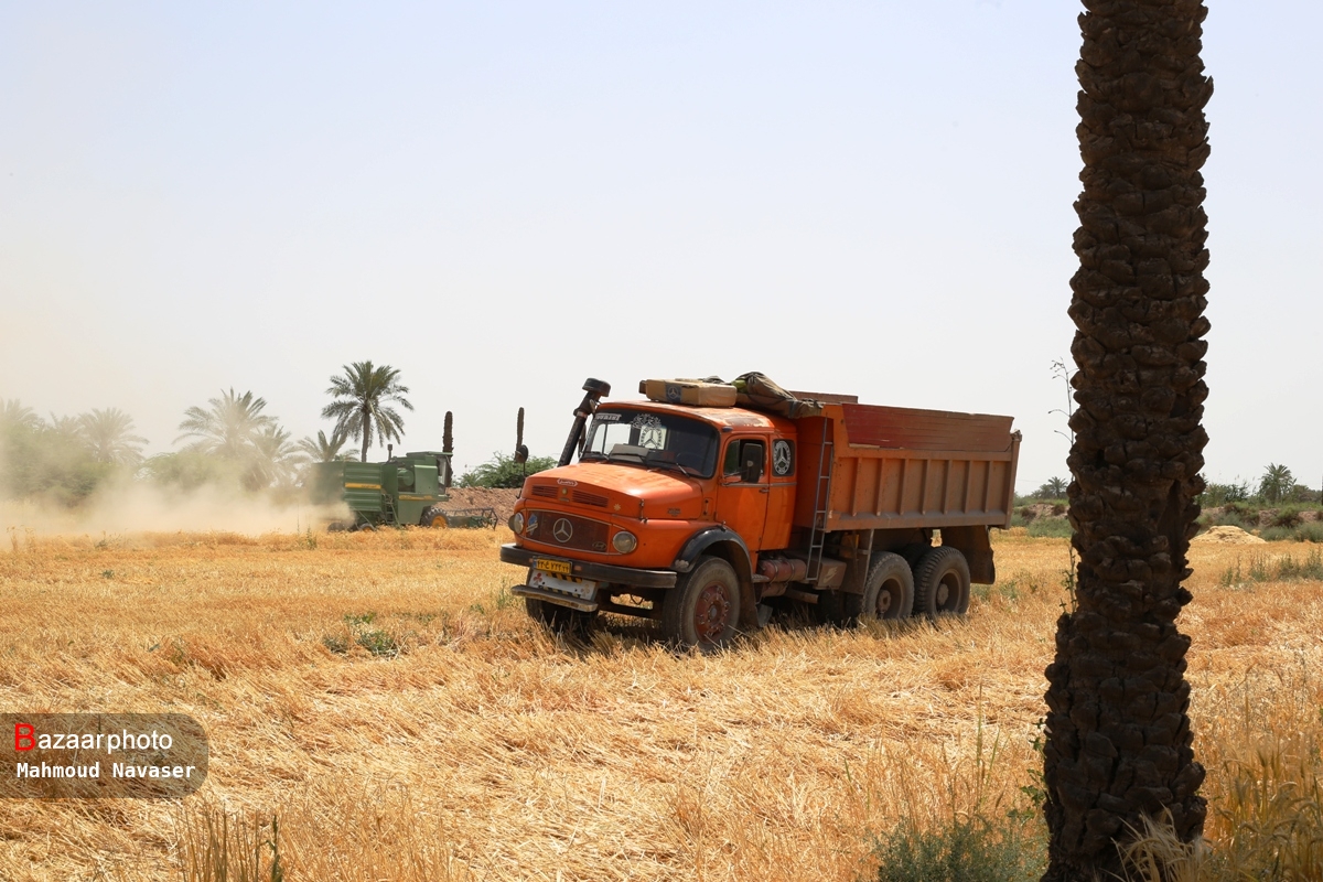 فرسودگی ادوات کشاورزی مانع تولید | دست رنج زارعان زیر چرخ فلزی هدر می رود