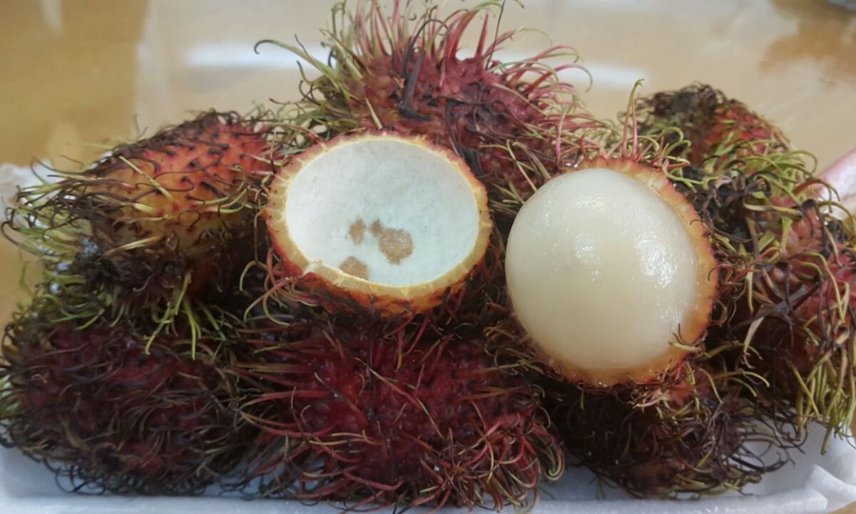 قیمت انواع میوه روند کاهشی دارد| بازار داغ میوه های لاکچری قانونی و غیرقانونی؛ از شایعه تا واقعیت