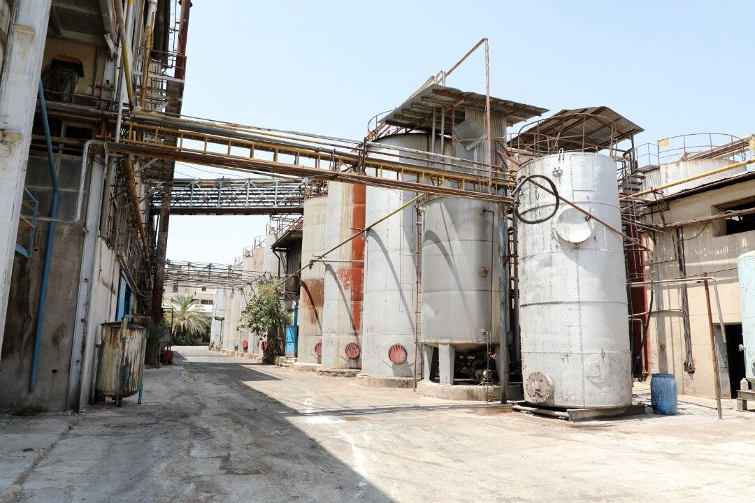 کارخانه ۶۸ ساله در رکورد| پشت پرده روغن نرگس شیراز چیست؟
