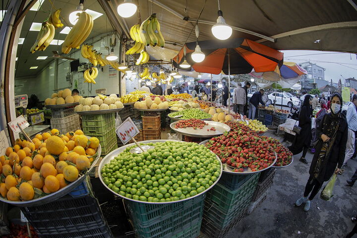 میوه های وارداتی ارزانتر از میوه های ایرانی| کارگر: نجومی بودن قیمت میوه های نوبرانه طبیعی است