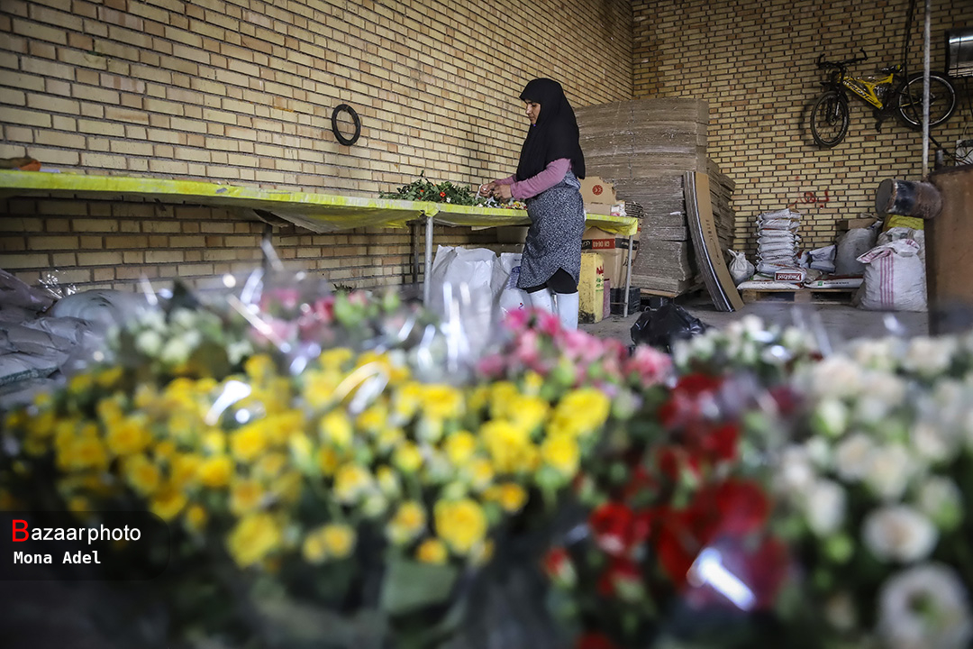 صادرات گل بوی پژمردگی می‌دهد| قطب تولید گل ایران فاقد پایانه صادراتی