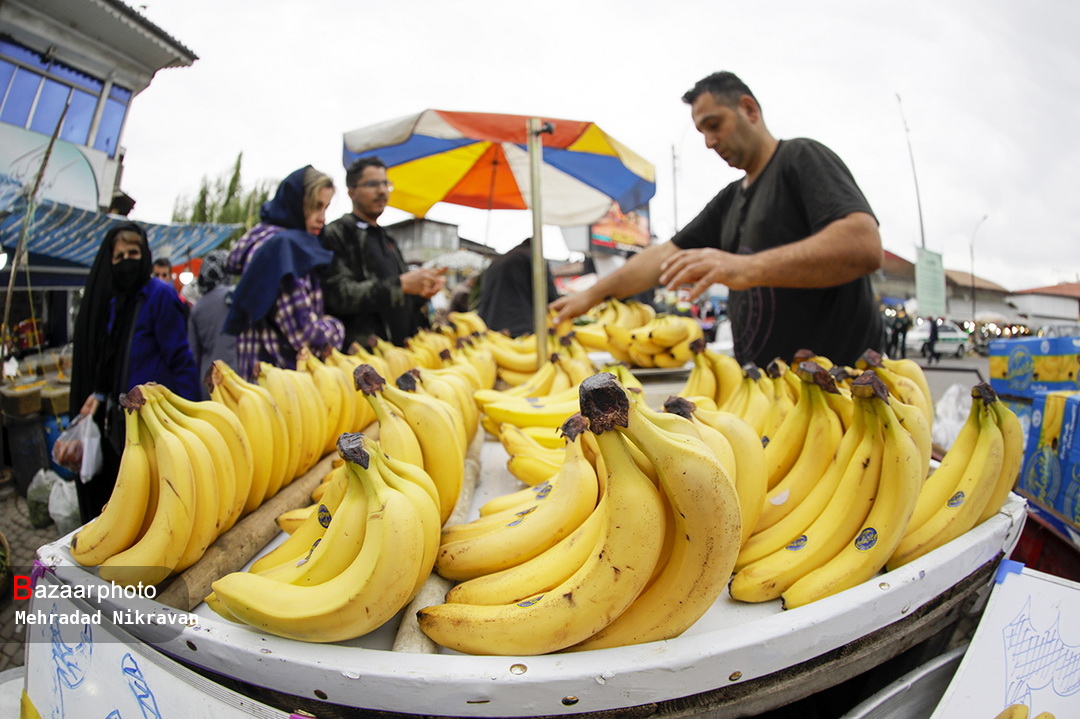 «یلدا» رنگ و بوی همیشگی را ندارد| فخر فروشی قیمت ها به مردم