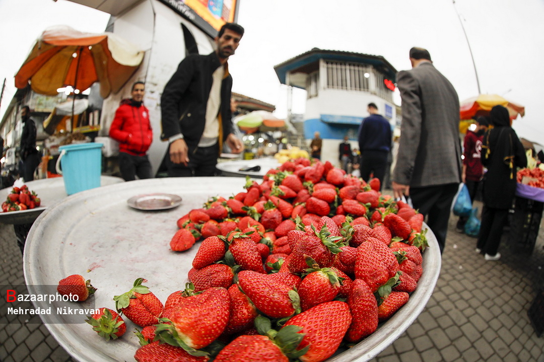 میوه شب عید در فهرست کالاهای لاکچری| واحد خرید میوه از کیلو به دانه رسید