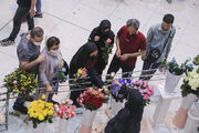 ضایعات ۵۰ درصدی گل در ایران| قطب تولید گل، پایانه صادراتی ندارد