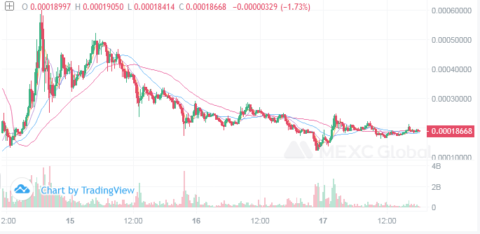 راهکار گریز از ضرر سنگین بازار رمزارز لونا| از وعده های بنیاد لونا تا راه های عملیاتی پیش رو