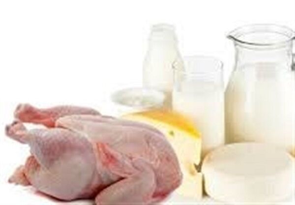 تولید مازاد مرغ و شیر در استان اردبیل را مدیریت می‌کنیم