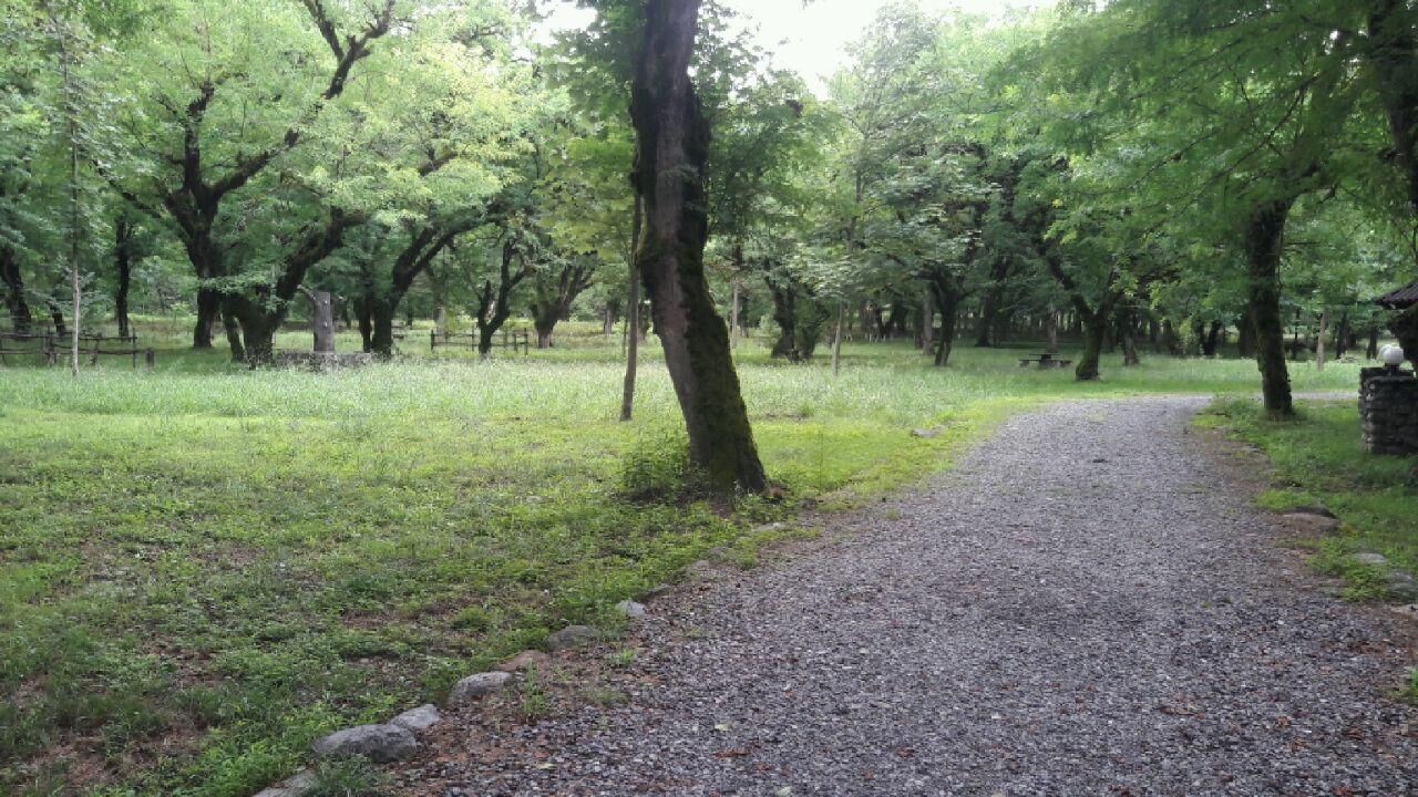 معرفی بهترین پارک های تهران و آپارتمان های مبله نزدیک آن ها