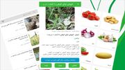 خرید و فروش گیاهان دارویی در سایت یک میوه
