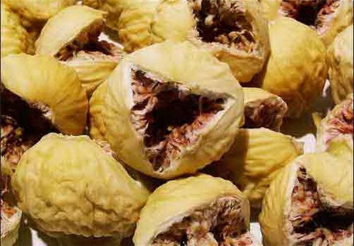 ظرفیت ویژه سیستان و بلوچستان در تولید انجیر| ۲۰۰ هکتار سطح زیر کشت انجیر ظرفیت ویژه سیستان و بلوچستان در تولید انجیر| ۲۰۰ هکتار سطح زیر کشت انجیر