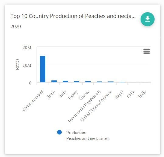 ایران؛ ششمین تولیدکننده بزرگ هلو و شلیل در جهان| روسیه در صدر واردکنندگان