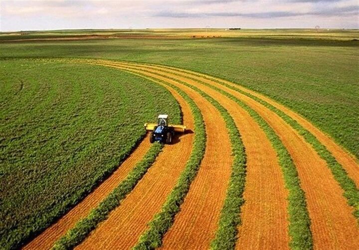 ۷۰ درصد از اراضی کشاورزی استان زنجان دیمی است