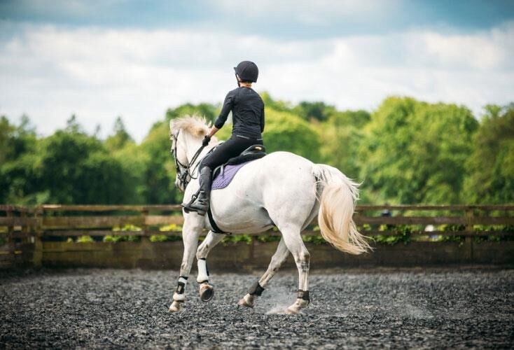 ضرورت توجه به گردشگری ورزشی در گلستان | جذابیت اسب ترکمن مغفول مانده است