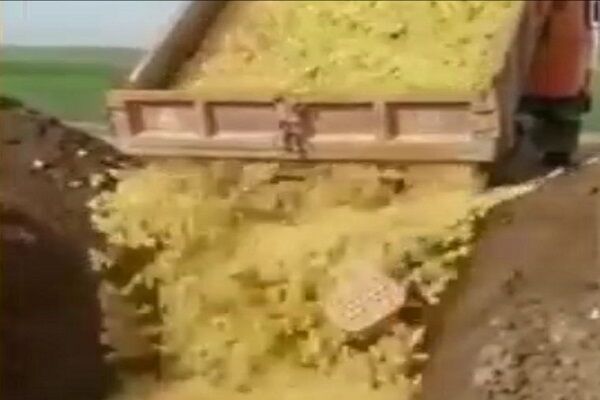 جوجهکُشی به رسم جوجهکِشی