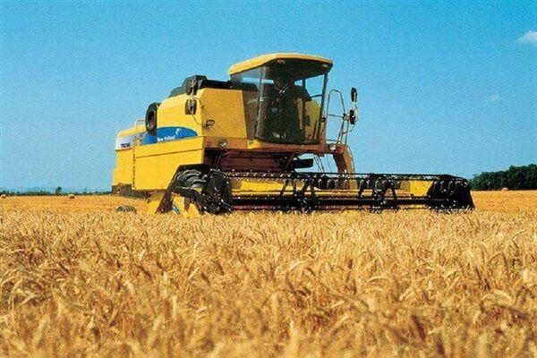 پیش بینی برداشت ۴۷ هزار تن گندم از مزارع خراسان جنوبی