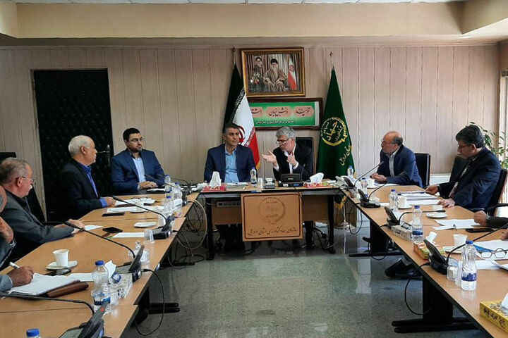 هشدار به تولیدکنندگان درباره معدومسازی جوجه یک روزه هشدار به تولیدکنندگان درباره معدومسازی جوجه یک روزه