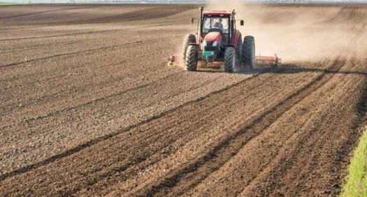 اجرای طرح جهش تولید در ۲۹۰ هزار هکتار از دیمزارهای استان همدان