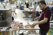 جهش تولید مرغ حریف «نرخ ارز» نشد | دستور وزیر، دو درصد از قیمت کاست