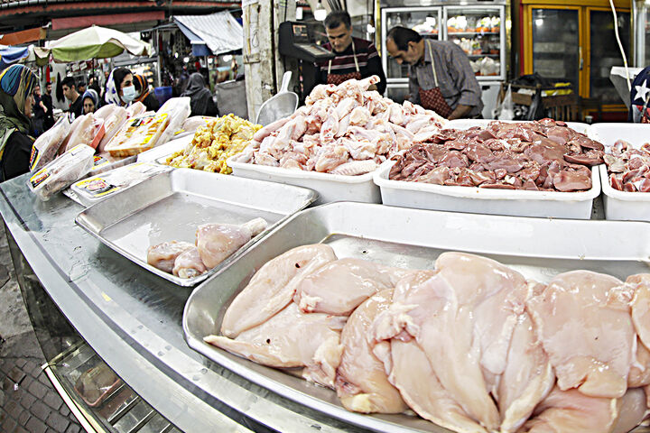 مرغ هم قد گوسفند وبره شد| داستان تکراری قیمت ها