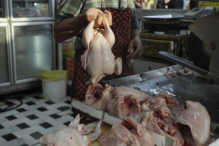 صادرات ۲۷ هزار تن مرغ در سال جاری
