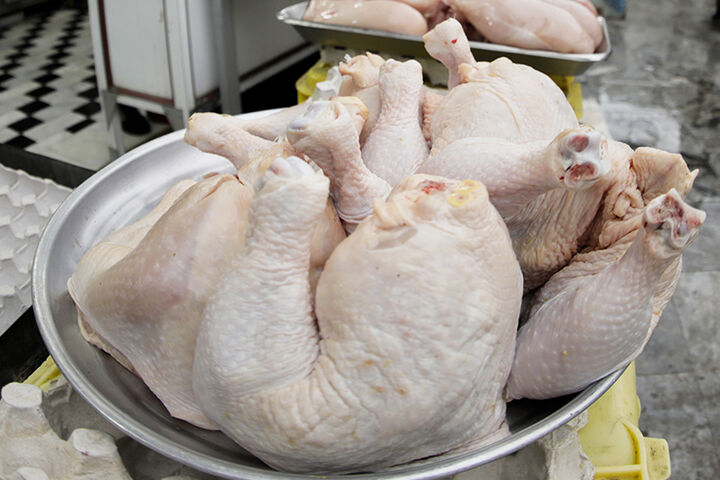 روزانه بیش از ۱۶۰ تن مرغ در استان کردستان توزیع می شود