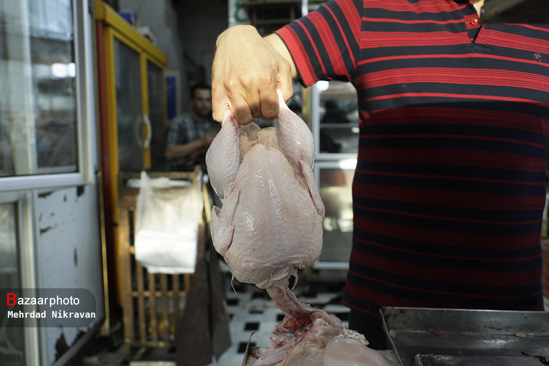 مرغ قیمت مصوب کیمیا شد| افزایش ۳۰۰ درصدی قیمت مرغ طی دو سال گذشته