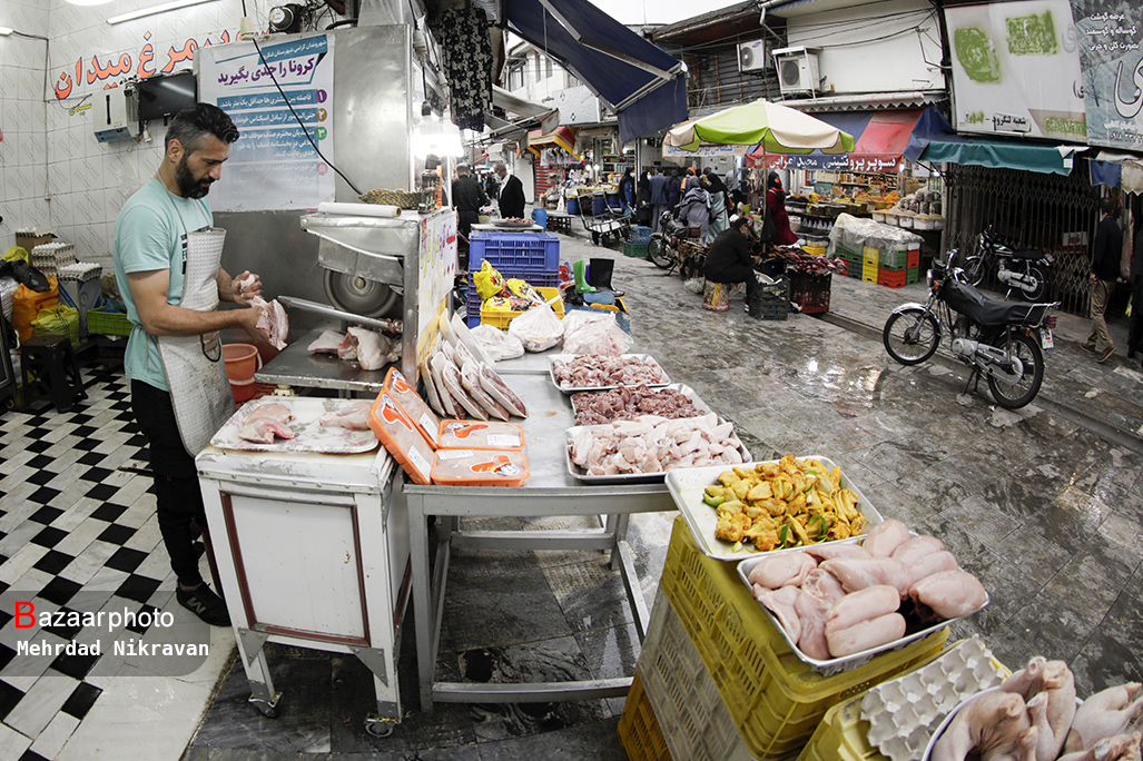 مرغ گران نمیشود اما گران باید خرید| «قیمت مصوب» از دولت اصرار از تولیدکننده انکار
