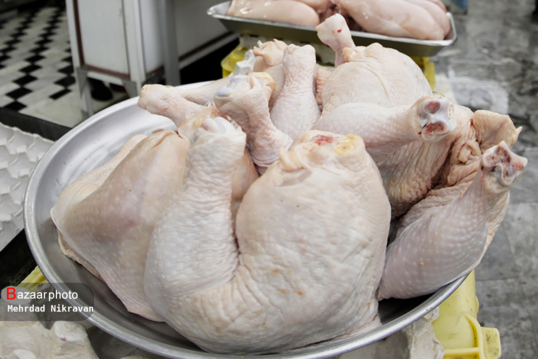 روند کاهشی قیمت مرغ ادامه دارد