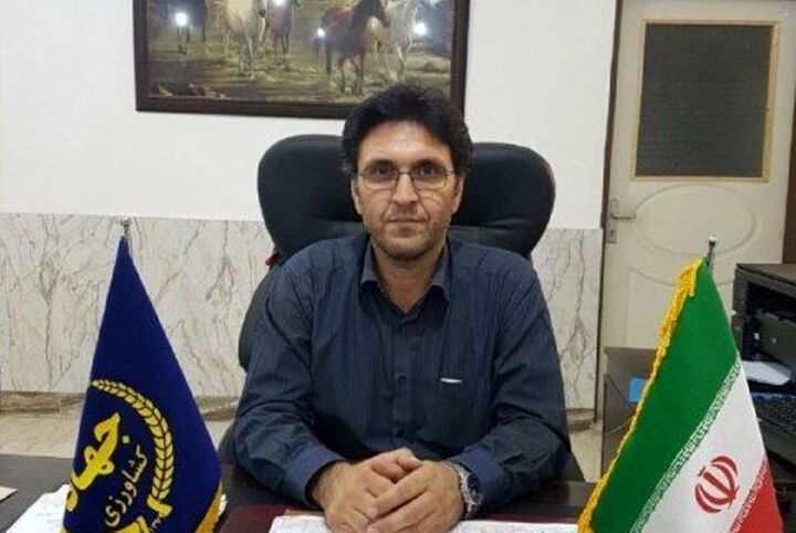 توسعه صنعت دامپروری با صادرات گوشت قرمز میسر می شود  توسعه صنعت دامپروری با صادرات گوشت قرمز میسر می شود