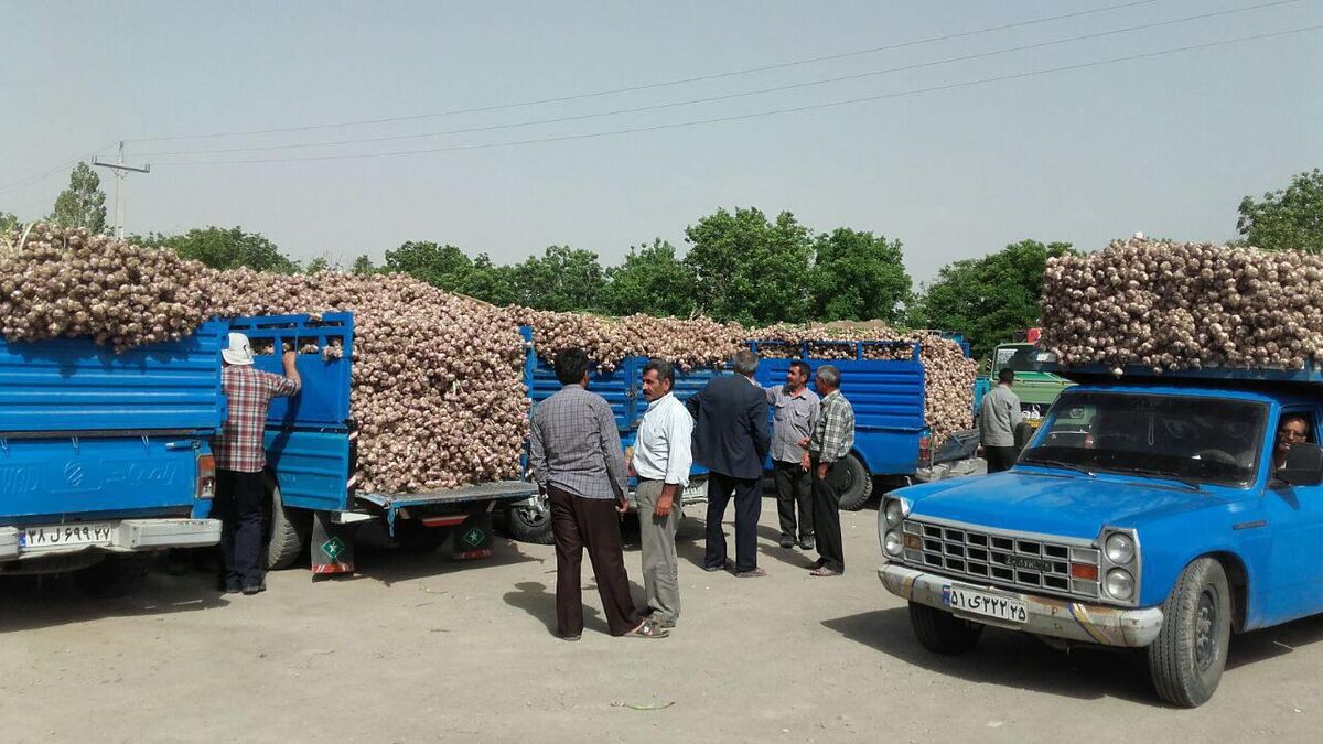 «تیمورلو» پایتخت سیر ایران