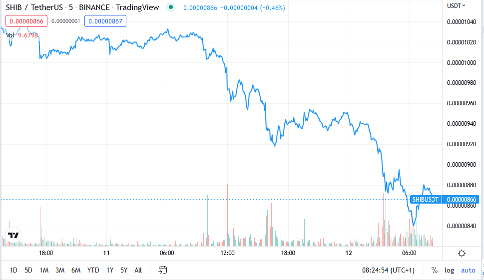افزایش چشمگیر معاملات شیبا اینو توسط نهنگ ها| احتمال افزایش قیمت وجود دارد