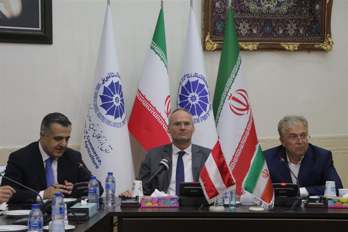 ضرورت ایجاد خط پروازی مستقیم از تبریز به وین| بانکهای اتریش امکان مراودات با تجار ایرانی را دارند