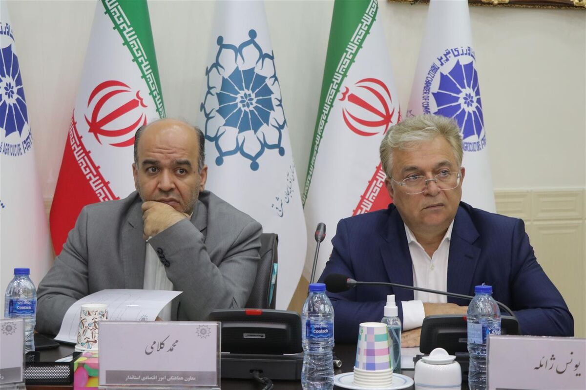 متضرر شدن همه ساله واحدهای صنعتی و تولیدی از قطعی برق