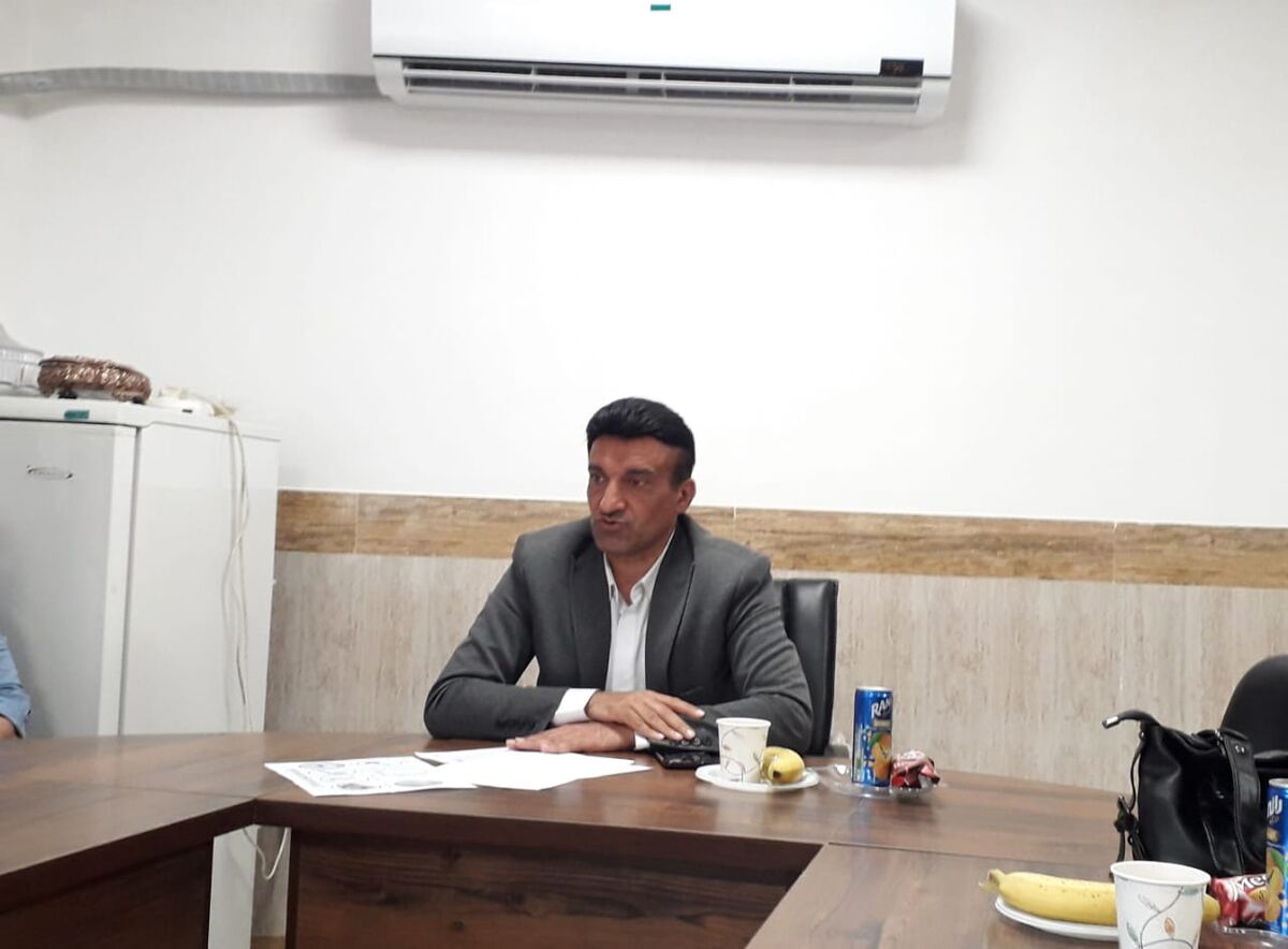 ابهام در سرنوشت نهال کاری های منابع طبیعی گلستان| سرمایهای که از بین میرود