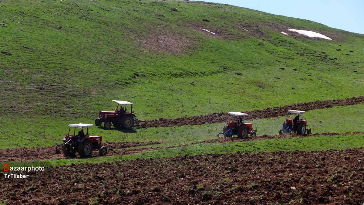 کلاف سردرگم قیمت خرید تضمینی | تعلل دولت به زیان کشاورز تمام می‌شود