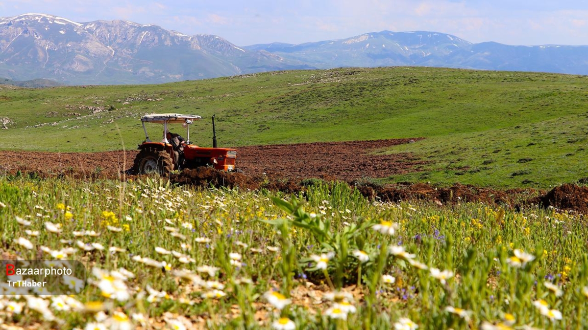 جیب خالی کشاورزان کرمانی| تسهیلات کمرشکن چاره ساز نیست