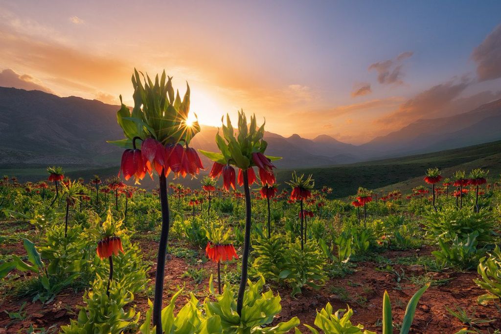 بهترین مقاصد برای یک سفر تابستانی دو نفره