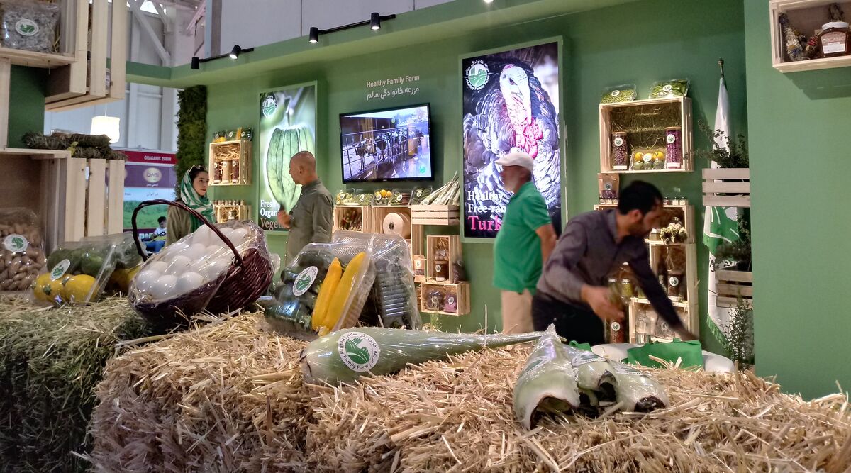 اگروفود؛ نمایشگاهی پرحرارت اما بی موقع