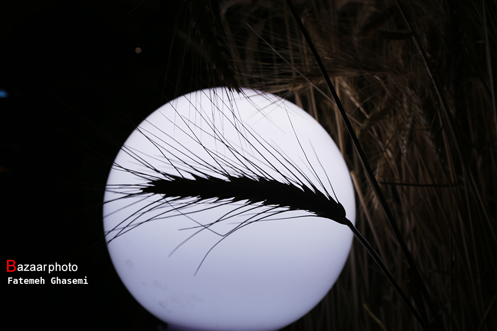 رونق گردشگری کشاورزی در کویر | مزارع بدون تغییر کاربری آباد میشوند