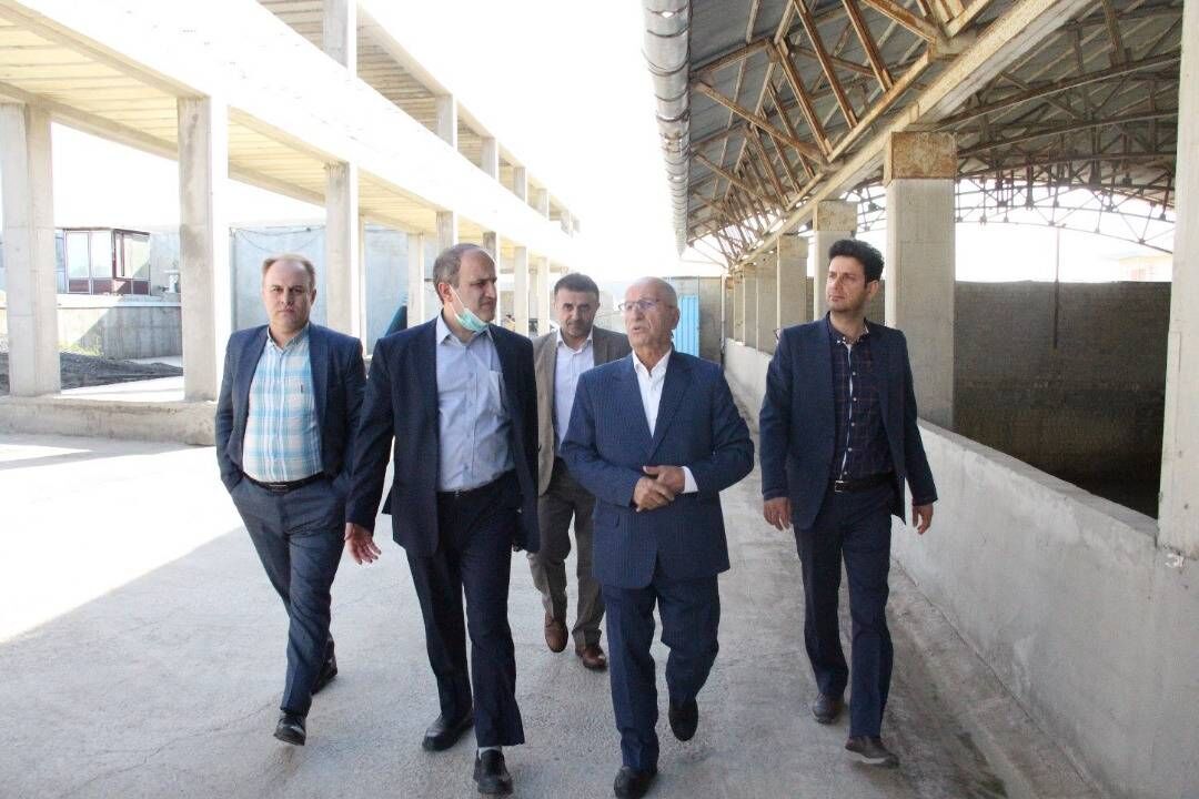 افزایش سهم مازندران از اعتبارات ملی| بررسی دستاوردهای بودجه ای دولت