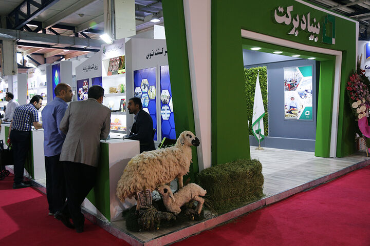 ۲۵۰۰ طرح اشتغالزا در کهگیلویه و بویراحمد توسط بنیاد برکت اجرایی شد  ۲۵۰۰ طرح اشتغالزا در کهگیلویه و بویراحمد توسط بنیاد برکت اجرایی شد