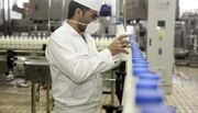 امکان افزایش سرانه مصرف شیر در کشور