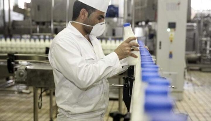 اوضاع شیر تو شیر کارخانه‌های لبنیات | توقف صادرات و کمبود نقدینگی سد راه تولید 