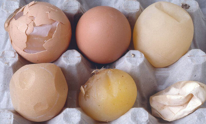 ماجرای توزیع تخم مرغ های فاسد در بازار چیست؟