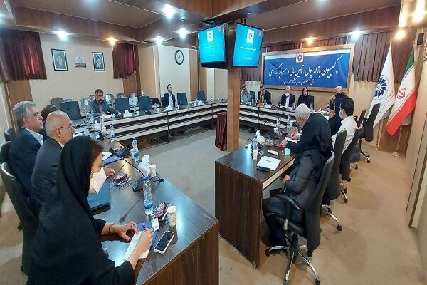 ضعف همدان در جذب تسهیلات «بند الف تبصره ۱۸» | بروکراسی اداری دستوپا گیر شده است