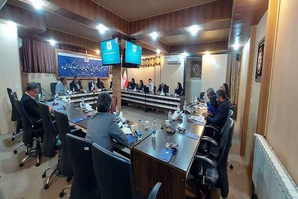 ضعف همدان در جذب تسهیلات «بند الف تبصره ۱۸» | بروکراسی اداری دستوپا گیر شده است