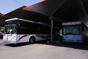ورود ۱۱۰۰ اتوبوس مناسب‌سازی شده به سیستم حمل و نقل