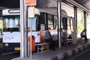 کمبود ۹ هزار اتوبوس در ناوگان اتوبوسرانی تهران