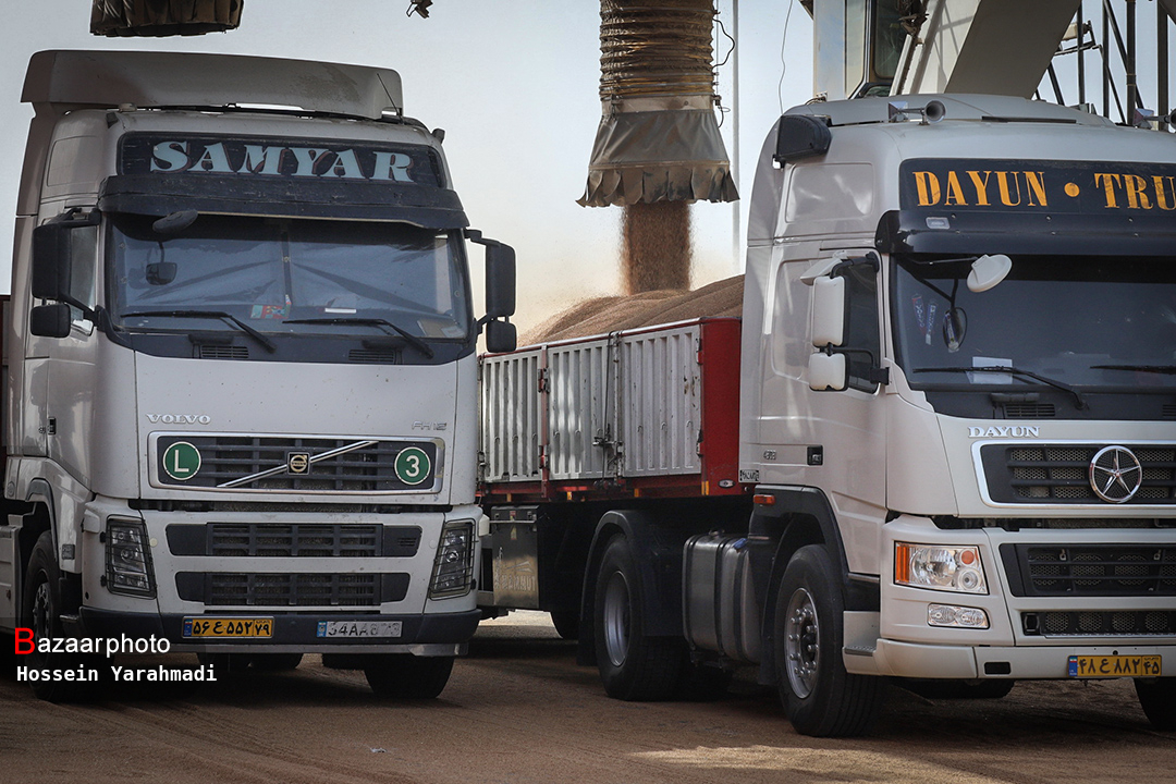 وعده بیعمل دولت | گندم کاران اعتراض دارند