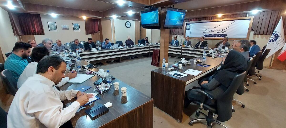 لزوم تجدید نظر دولت در نرخ کرایه حمل و نقل هوایی محصولات گلخانه ای| مصرف بهینه آب فرهنگسازی شود